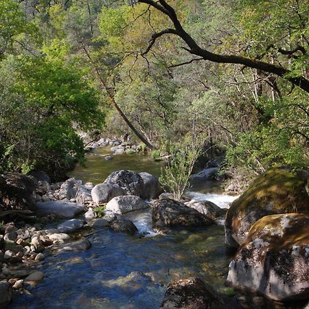 Hotel Carvalho Araujo Geres Dış mekan fotoğraf