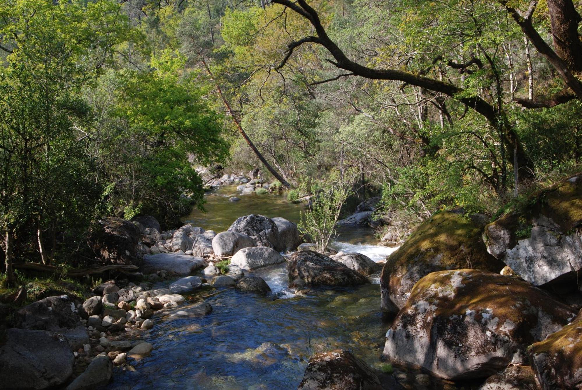Hotel Carvalho Araujo Geres Dış mekan fotoğraf