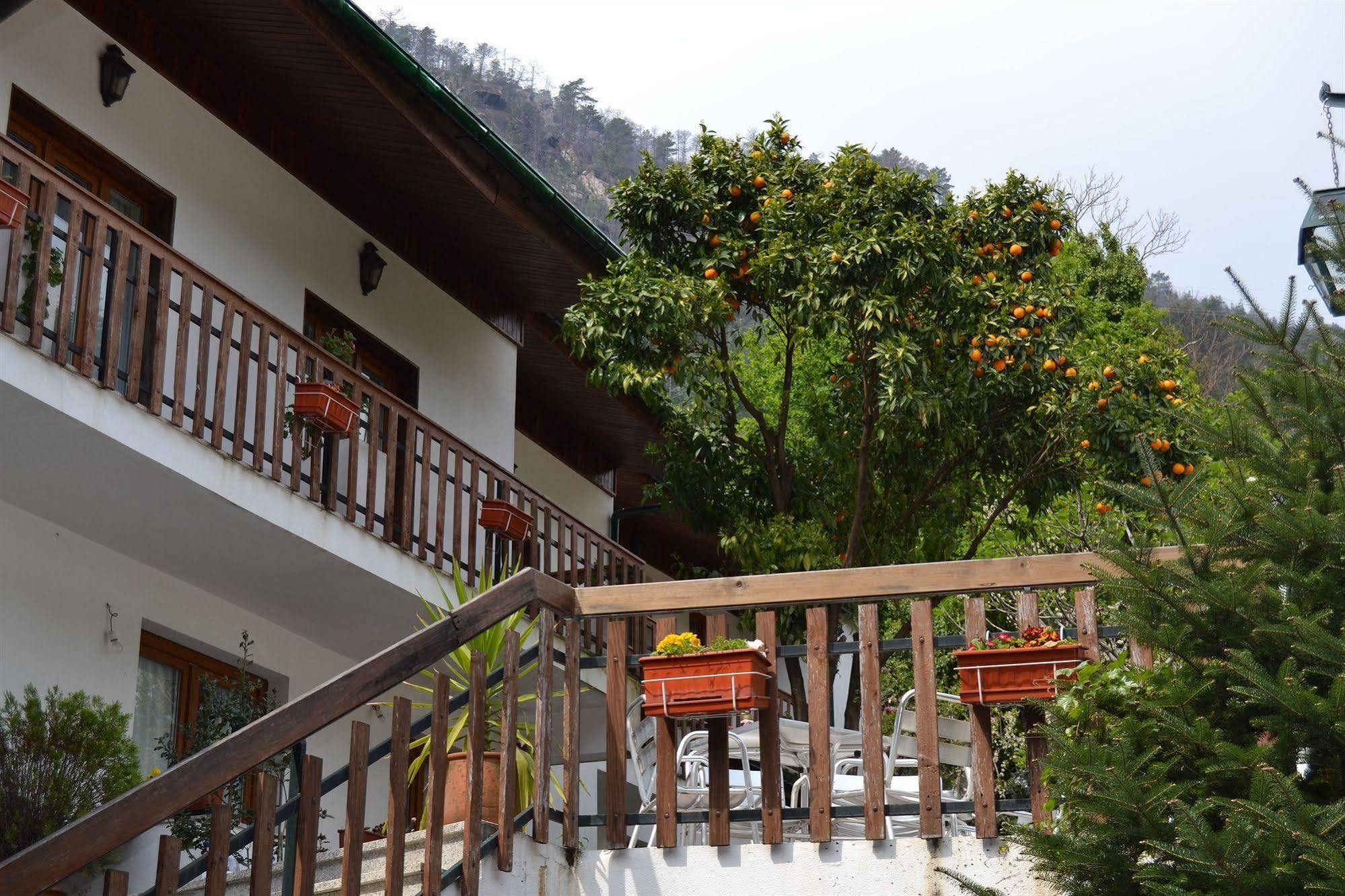Hotel Carvalho Araujo Geres Dış mekan fotoğraf